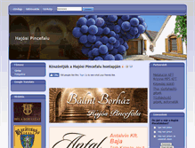 Tablet Screenshot of hajosipincefalu.hu